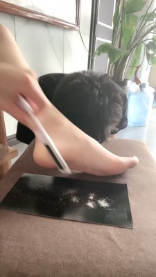 【沅芷大人】刮脚皮让贱狗吃掉 bf28265