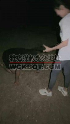 【尤黎】户外遛狗-车内恋足调【完整版】 bf31684