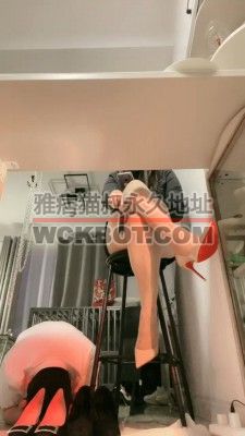 【七宝】中秋节踩月饼喂狗 bf33549