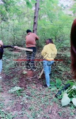 【艾琳】三S-户外-吊绑重度虐打【三视角版】 JS231012