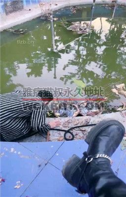 【宸宸】狗奴才清理庄园池塘 bf34426