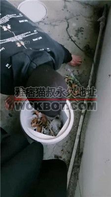 【宫雪大人】户外圈养犬化家务奴 JS231107