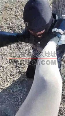 【酒鸽】户外-五花大绑封嘴/长靴踩虐/窒息【双视角版】JS23111220