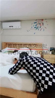 【陈莹斯】圈养奴伺候主人起床 JS231117-16