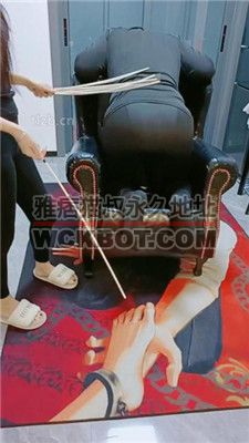 【芷镜小主】重度刑虐-藤条sp JS231121-25