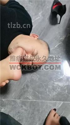 【冷御女王】老狗下跪舔主人裸足 JS231124-5