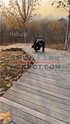 【辣姐】周末公园长靴S遛狗 【续集】 JS231126-23