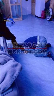 【沅芷大人】带闺蜜调-高跟踩踏跪舔/反绑耳光【完整版】 bf36122