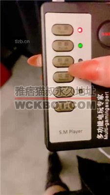 【高傲】长靴高跟舔/蒙眼吊绑囚禁/喂食脏东西/电击  JS231202-8