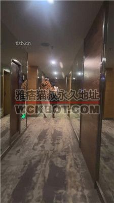 【狗哥】沉浸式视角-情侣主辱绿帽 JS231211-2