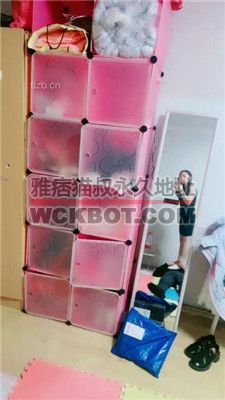 【艾琳】全体重踩踏专场【完整版】 JS231218-5