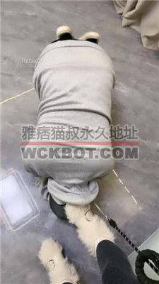 【cc.s】美臀坐头/毛短靴碾压踩/闻白袜/镜前辱 bf36812