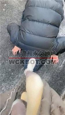 【酒鸽】大冬天户外遛狗虐 JS231225-18