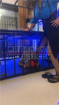 【梓夫人】姐妹花暴力虐打搬运工 JS231226-5