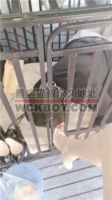 【bibi团】狗笼圈养囚禁/人体鞋架/伺候沐足 JS231230-12