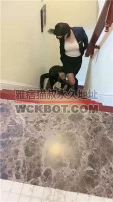 【高傲】情侣奴-遛狗爬楼梯/转胯/强迫圣水 bf37213