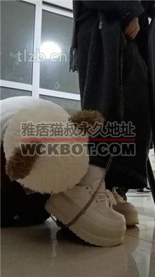 【爱可呀】母畜-清理脏鞋/闻棉袜/对鞋磕头/袜子塞嘴 JS240114-11