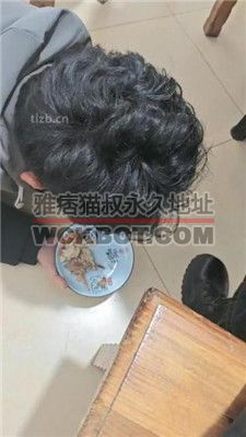 【yukis】户外饭店餐厅t狗奴 JS240112-7