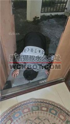 【yukis】深夜狗来吃剩饭 JS240112-14