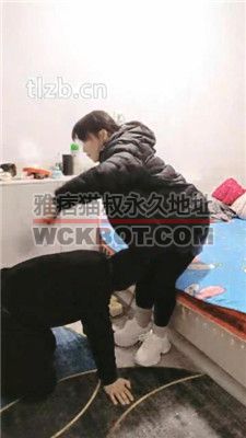 【三公主殿下】生活化伺候-完全不当人 bf37879