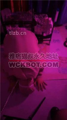 【璐璐大王】圈养M跪舔长靴踩踏/重度sp JS240129-3