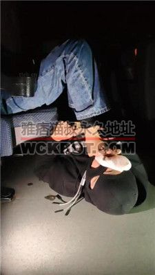 【樱樱】空姐S电影院羞辱玩虐脚下奴【四】 JS240207-12