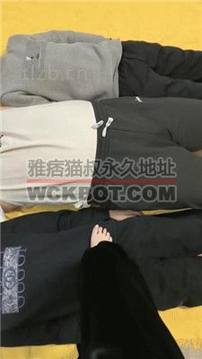 【舞池大人】全体重踩踏三只地毯狗 JS240207-8