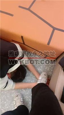 【小林】运动鞋踩狗爪/骑狗背 JS2402015-2