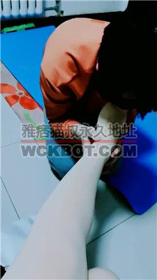 【美容院S】跪舔原味肉丝jio/手铐/丝袜塞嘴/鞭打耳光 JS2402017-11