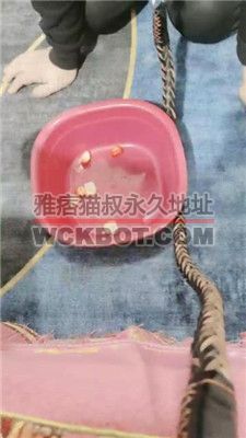 【三公主殿下】绿帽老公生活化伺候【下】 JS2402016-8