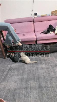 【冰诺】超细高跟全体重踩踏/骑狗脖 bf38722