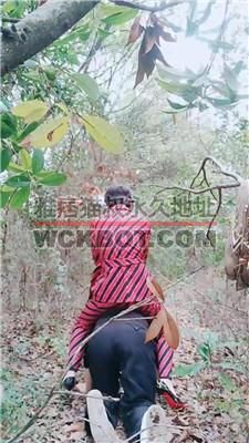 【伯爵】户外骑马驯化专场 JS240317-3