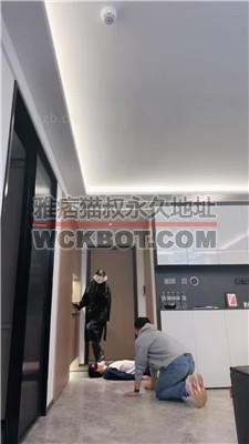 【妆主大大】双犬竞选家奴-物化坐垫-除臭器-烟灰缸-出气筒 bf39263