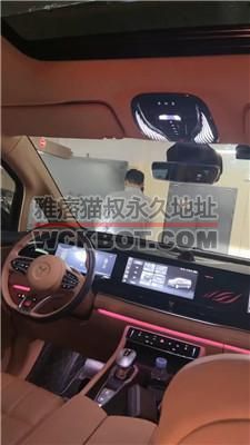 【禾未】黑丝高跟诱惑-车内调-吃byt JS240514-12