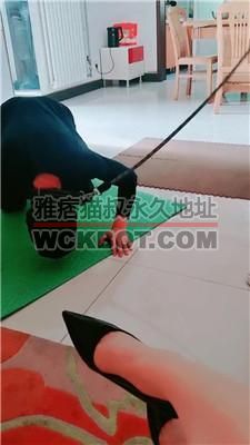 【美容院】夫奴只配跪着生活 JS240516-8