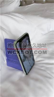 【歌总】远程视频命令小三母狗 JS240517-29