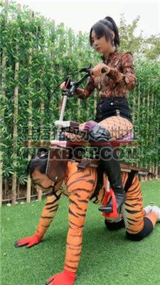 【红焱】骑马新装备之灵魂驾驭 bf42088