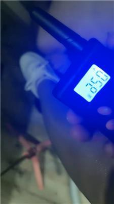 【语阳】小白鞋棉袜蹂躏踩/电击求饶 JS240722-5