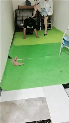 【未央宫】囚禁狗笼/丝袜塞嘴/骑马转胯 bf43335