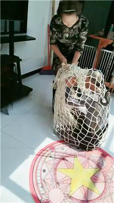 【圈养基地】强制圈养奴剃度【三视角完整版】 JS240802-41