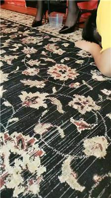 【圈养基地】赏赐人形犬晚餐/清理脏马桶/强制淋浴 JS240805-10