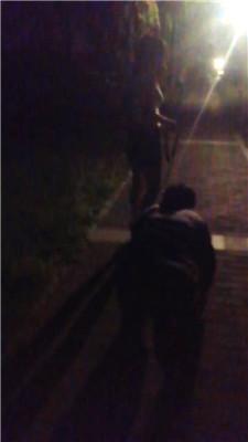 【天韵女皇】户外遛狗爬行/抽耳光/鞭打/【双视角版】JS240813-19