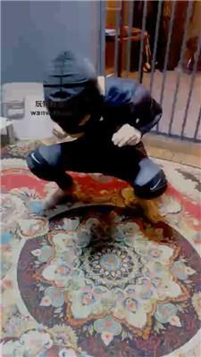 【芊芊】双S-假期老师做学生的狗【双视角版】 JS240818-14