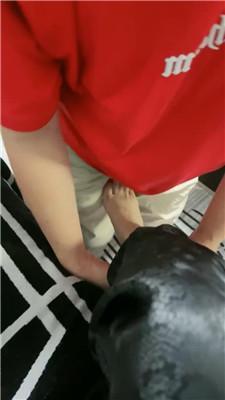 【梦露】监督绿帽奴做家务 JS240819-11