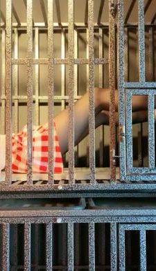 【圈养基地】狗笼囚禁犬化 JS240823-14