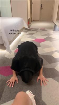 【LL77】高帮匡威鞋跪舔/牛奶吐嘴/深喉坐脸 JS240919-4