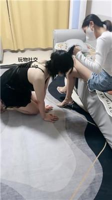 【司藤】驯化母狗/脚喂食 bf44459