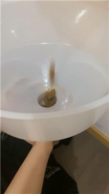 【王妃】高跟妖艳丝袜踩虐【完整版】 JS240930-1