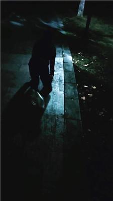 【拽拽】户外深夜公开溜贱奴 JS241011-8