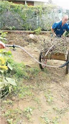 【烟雨】让圈养奴做苦力 JS241014-4